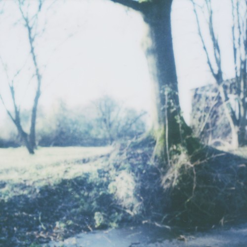 landscape 01