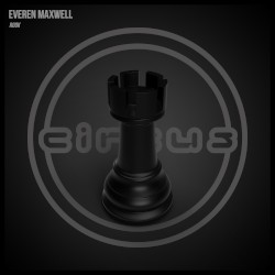 Rook