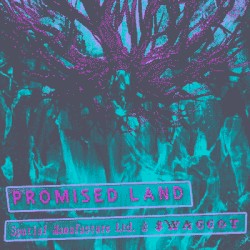 promised land