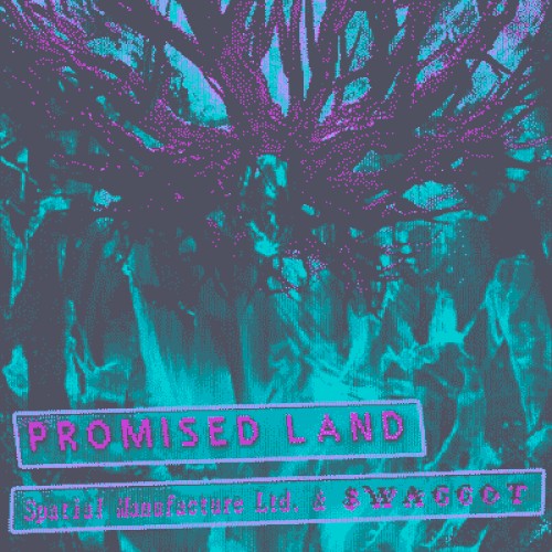 promised land