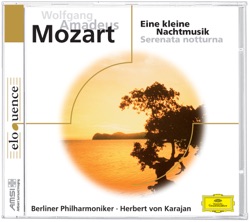 Eine kleine Nachtmusik / Serenata notturna