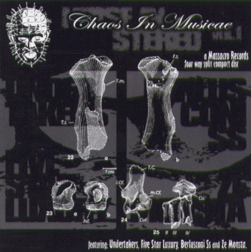 Noise in Stereo Vol. I - Chaos in Musicae