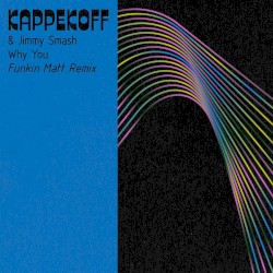 Why You (Funkin Matt Remix)