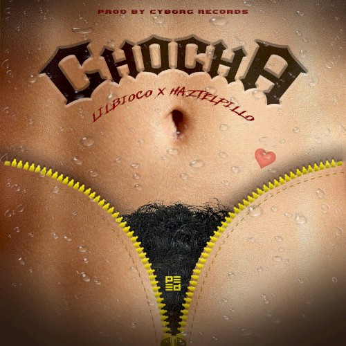 Chocha