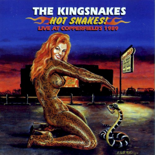 Hot Snakes! Live At Copperfield’s 1989