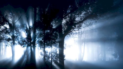 Algernon Blackwood's Ghost Stories