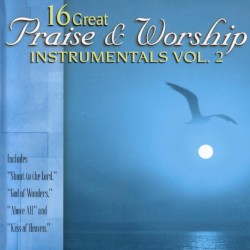 16 Great Praise & Worship Instrumentals Vol. 2