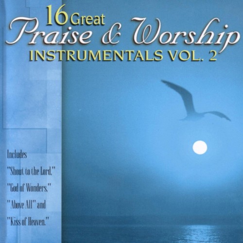 16 Great Praise & Worship Instrumentals Vol. 2