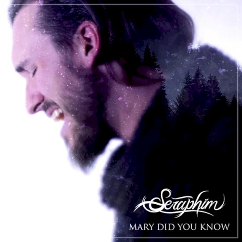 Mary, Did you Know?