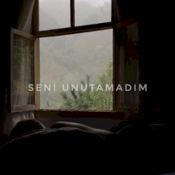Seni Unutamadım