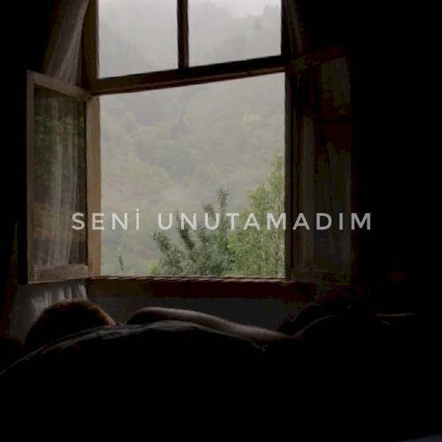 Seni Unutamadım