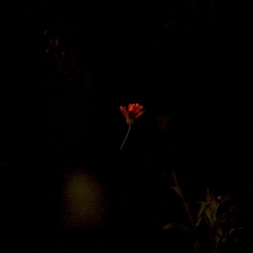 Live at Jazzstate, 04/12/2019