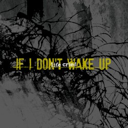 If I Don't Wake Up