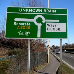 Separate Ways