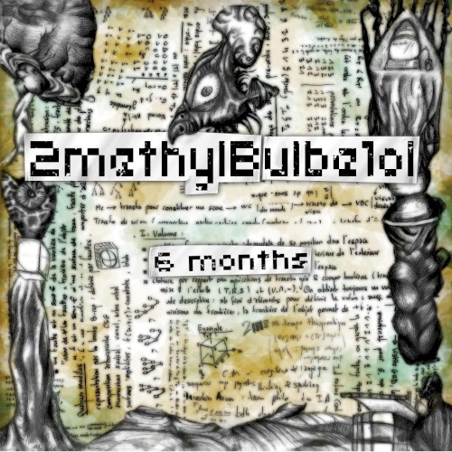 6 Months