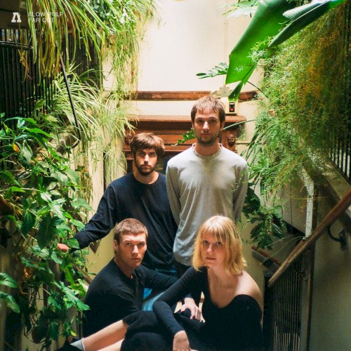 Audiotree Far Out