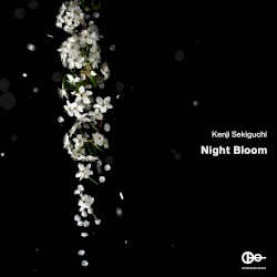 Night Bloom