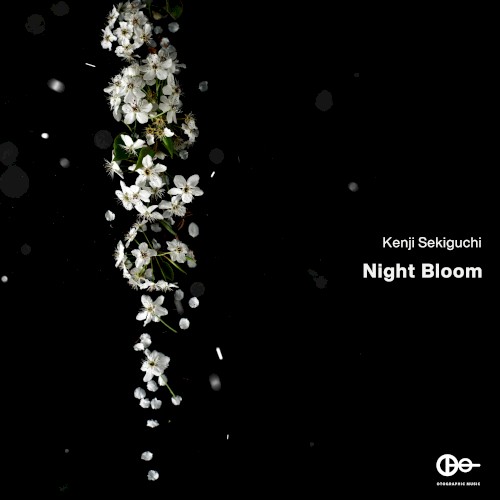 Night Bloom