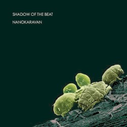 Nanokaravan
