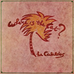 Where Is the Cat?