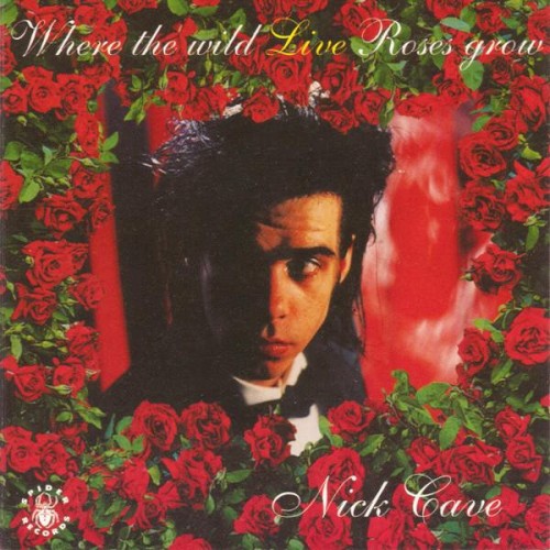 Where the Wild Live Roses Grow