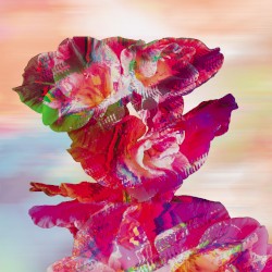 Bloom