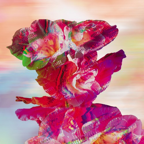 Bloom