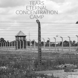 Concentration Camp