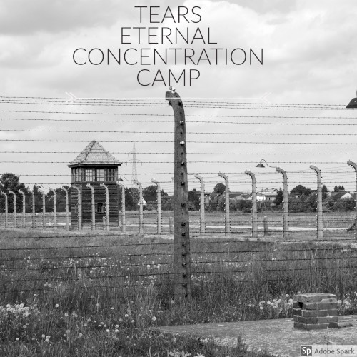 Concentration Camp