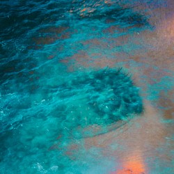 Voices of the Sea