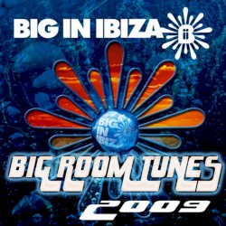 Big Room Tunes 2009