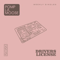 drivers license