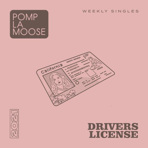 drivers license