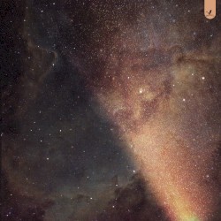 Stardust