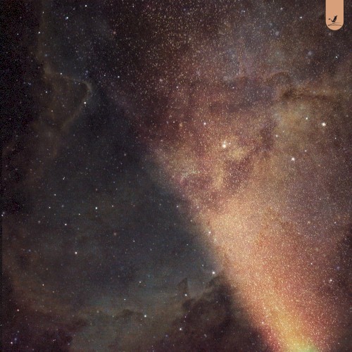 Stardust
