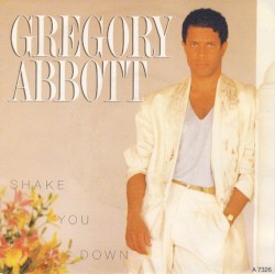Shake You Down