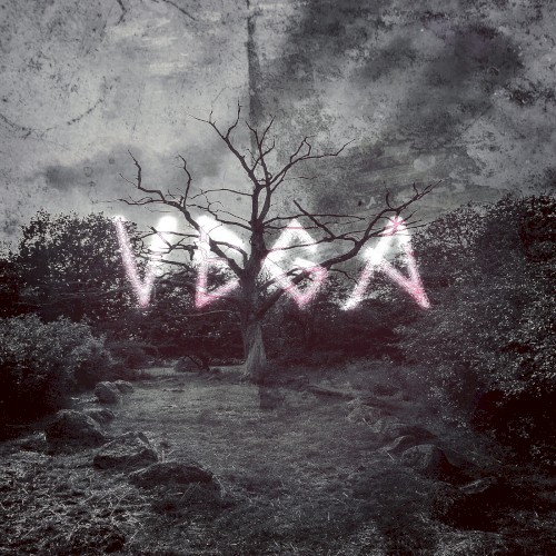 Vega
