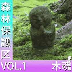 森林保護区 VOL.1