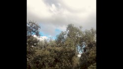 it's autumn again