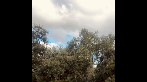 it's autumn again
