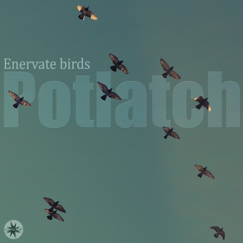 Enervate Birds