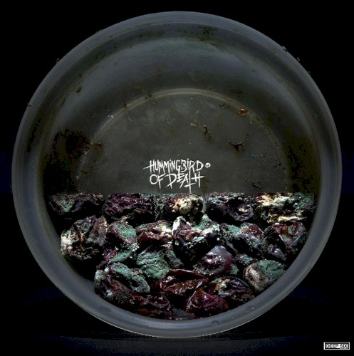 Cold World / Hummingbird of Death