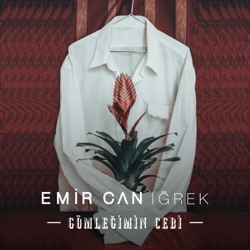 Gömleğimin Cebi