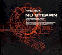 Nu Steppin: 28 2step Garage Breaks