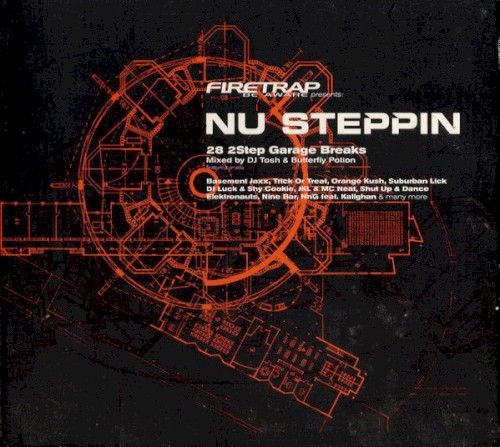 Nu Steppin: 28 2step Garage Breaks