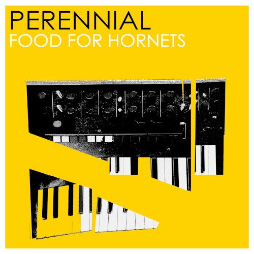 Food for Hornets