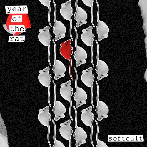 Year of the Rat
