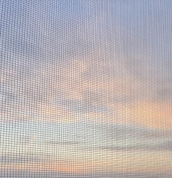 whiteblue morning