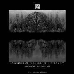 Labyrinth Of Thoughts