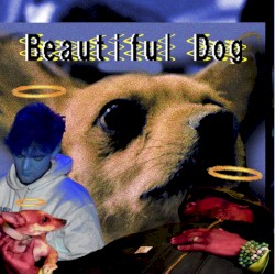 Beautiful Dog